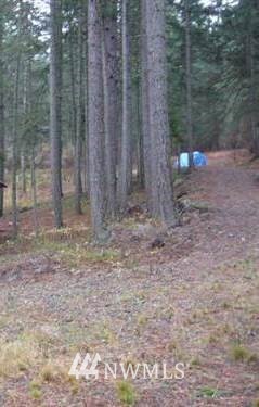 620 Fawn Road Cle Elum, WA 98922 - Photo 1 of 7 Gallery Image 1