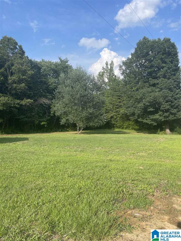 426 Old Stage Coach Road Eldridge, AL 35554 - Photo 5 of 5