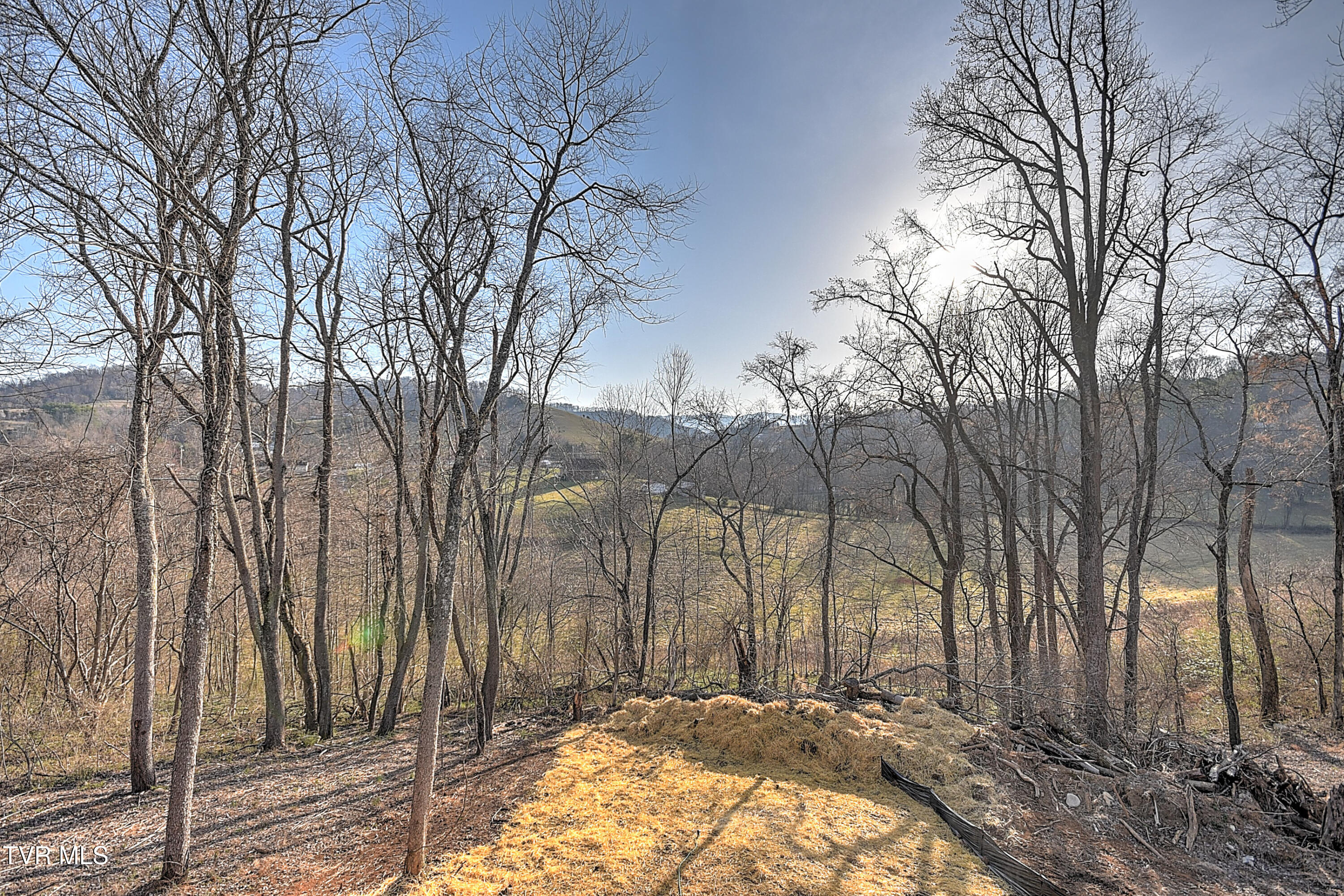 143 Daniel Lane Elizabethton, TN 37643 - Photo 38 of 38 143 Daniels Ln MB-40