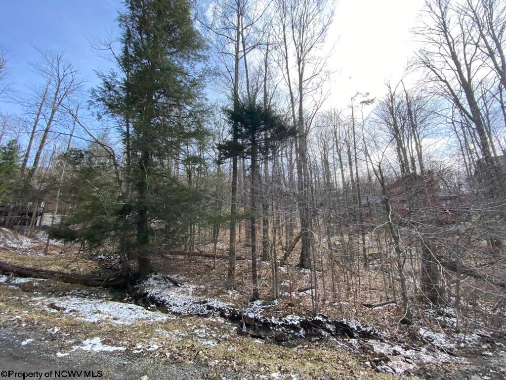 59 Slopeside Road Davis, WV 26260 - Photo 42 of 44 Gallery Image 42