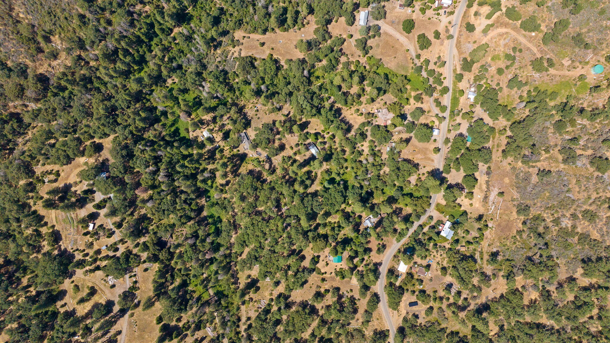 48675 Todd Eymann Road Miramonte, CA 93641 - Photo 84 of 103 83-web-or-mls-51-print-DJI_2024080514302