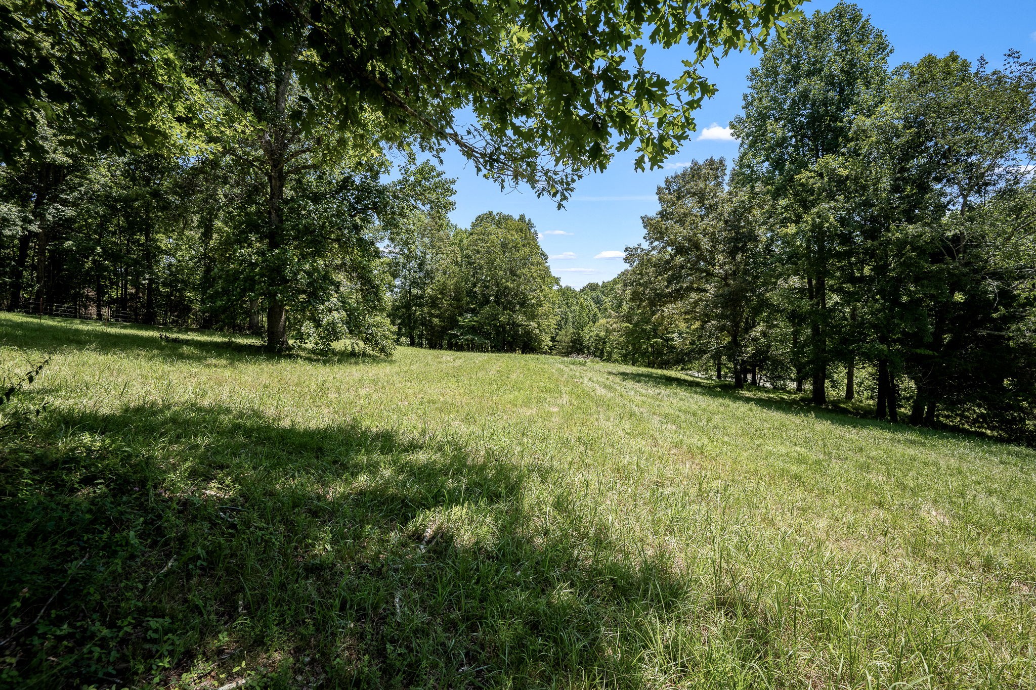 0 Light Lane Kelso, TN 37348 - Photo 14 of 20 Gallery Image 14