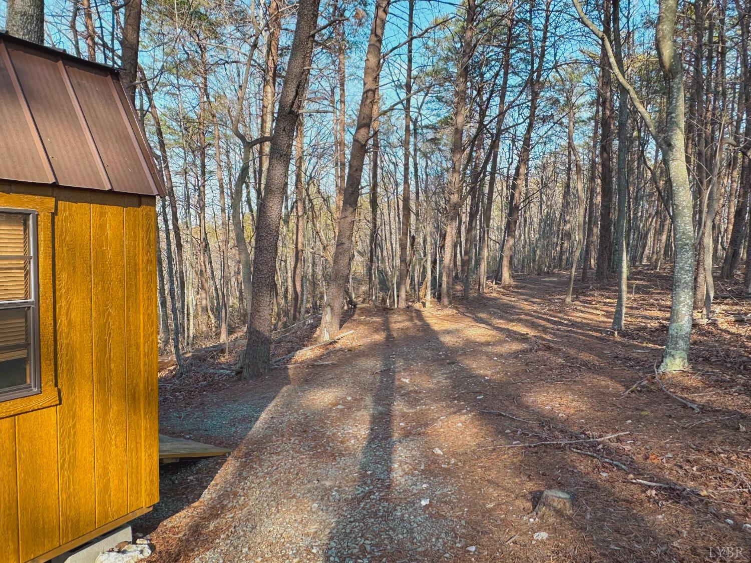 507 Faith Cove Road Sandy Level, VA 24161 - Photo 41 of 64
