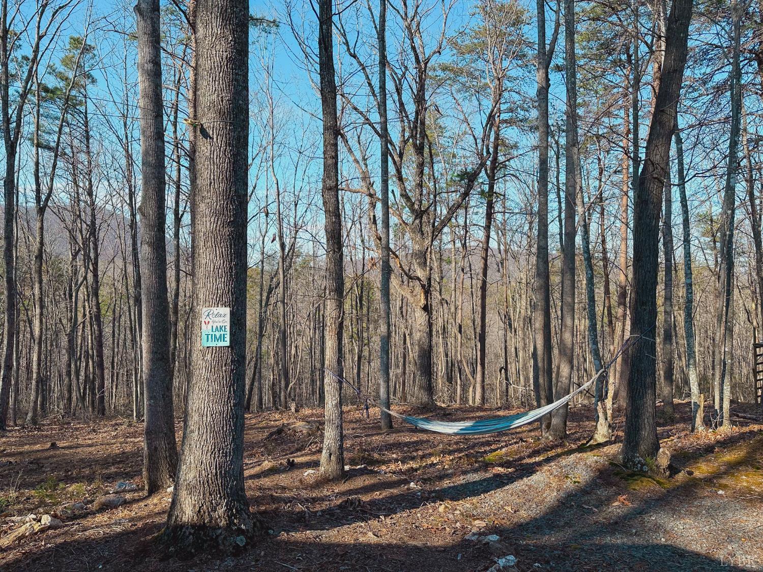 507 Faith Cove Road Sandy Level, VA 24161 - Photo 5 of 64