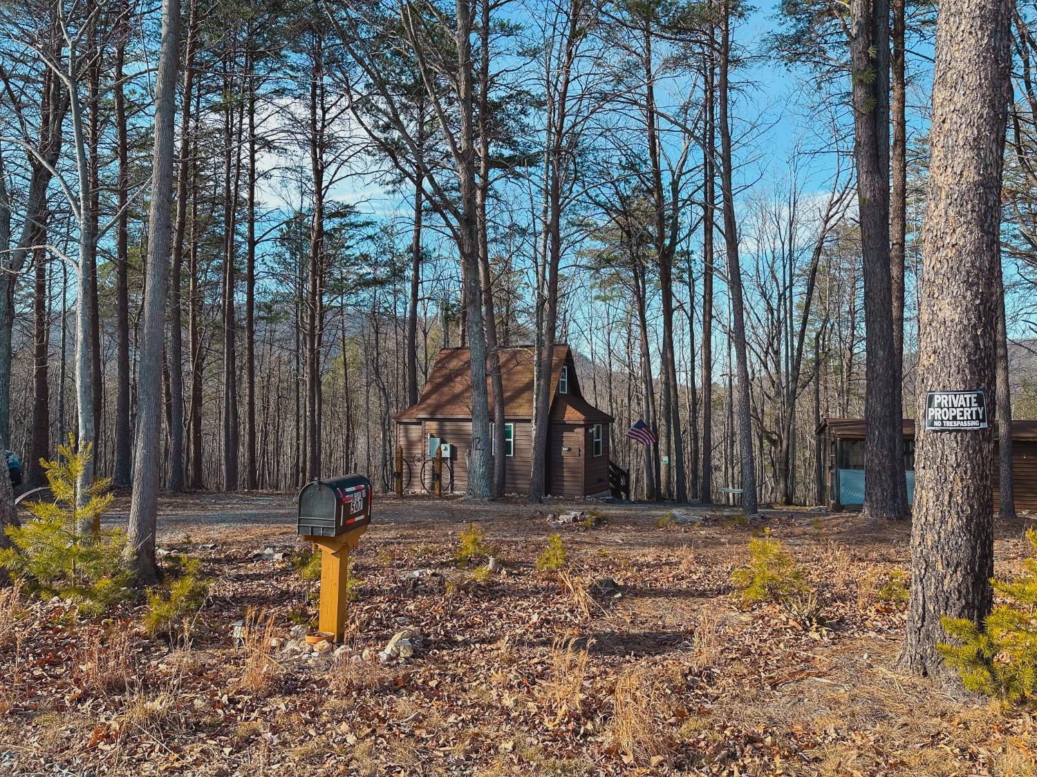 507 Faith Cove Road Sandy Level, VA 24161 - Photo 52 of 67