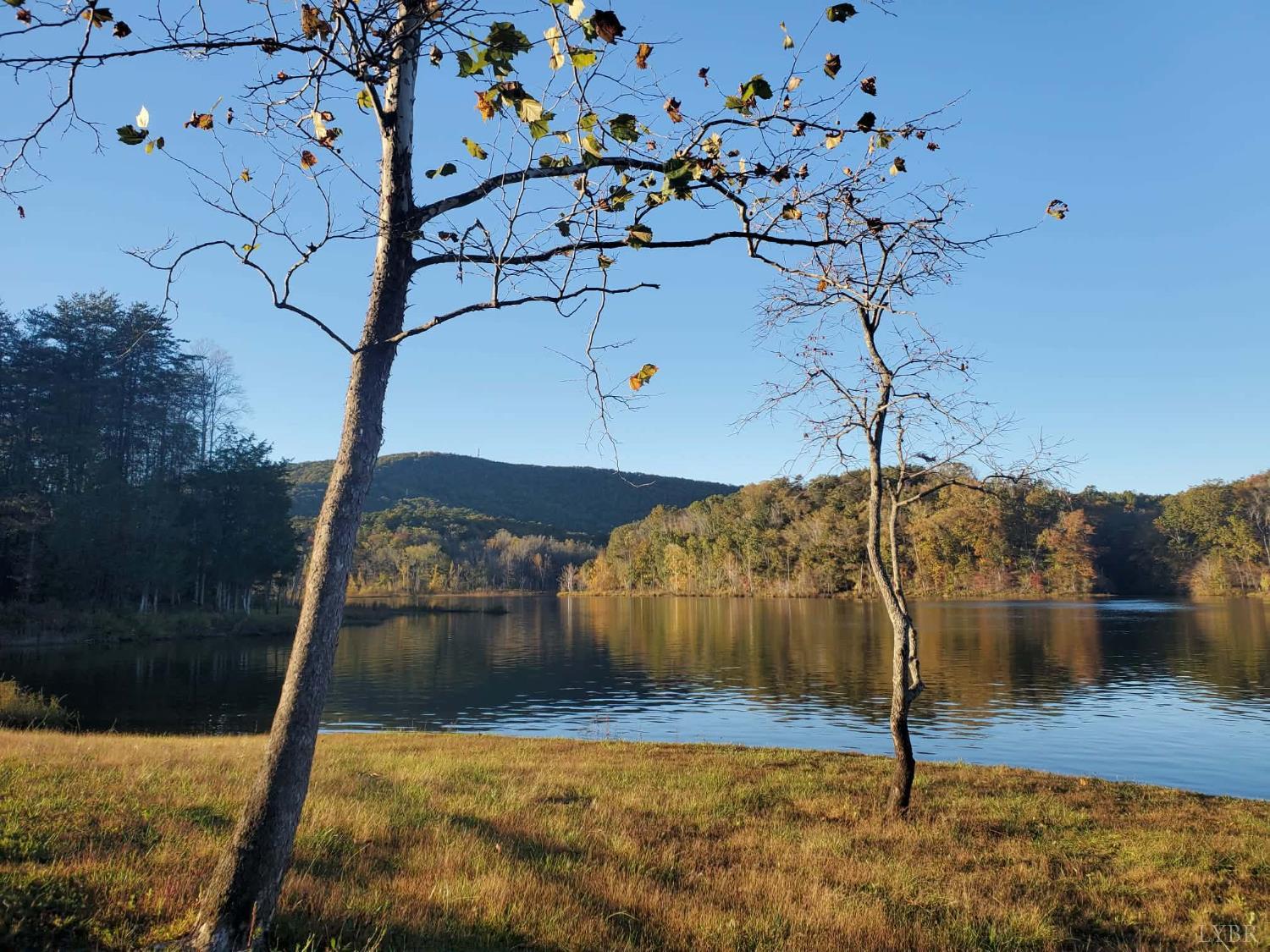 507 Faith Cove Road Sandy Level, VA 24161 - Photo 8 of 67