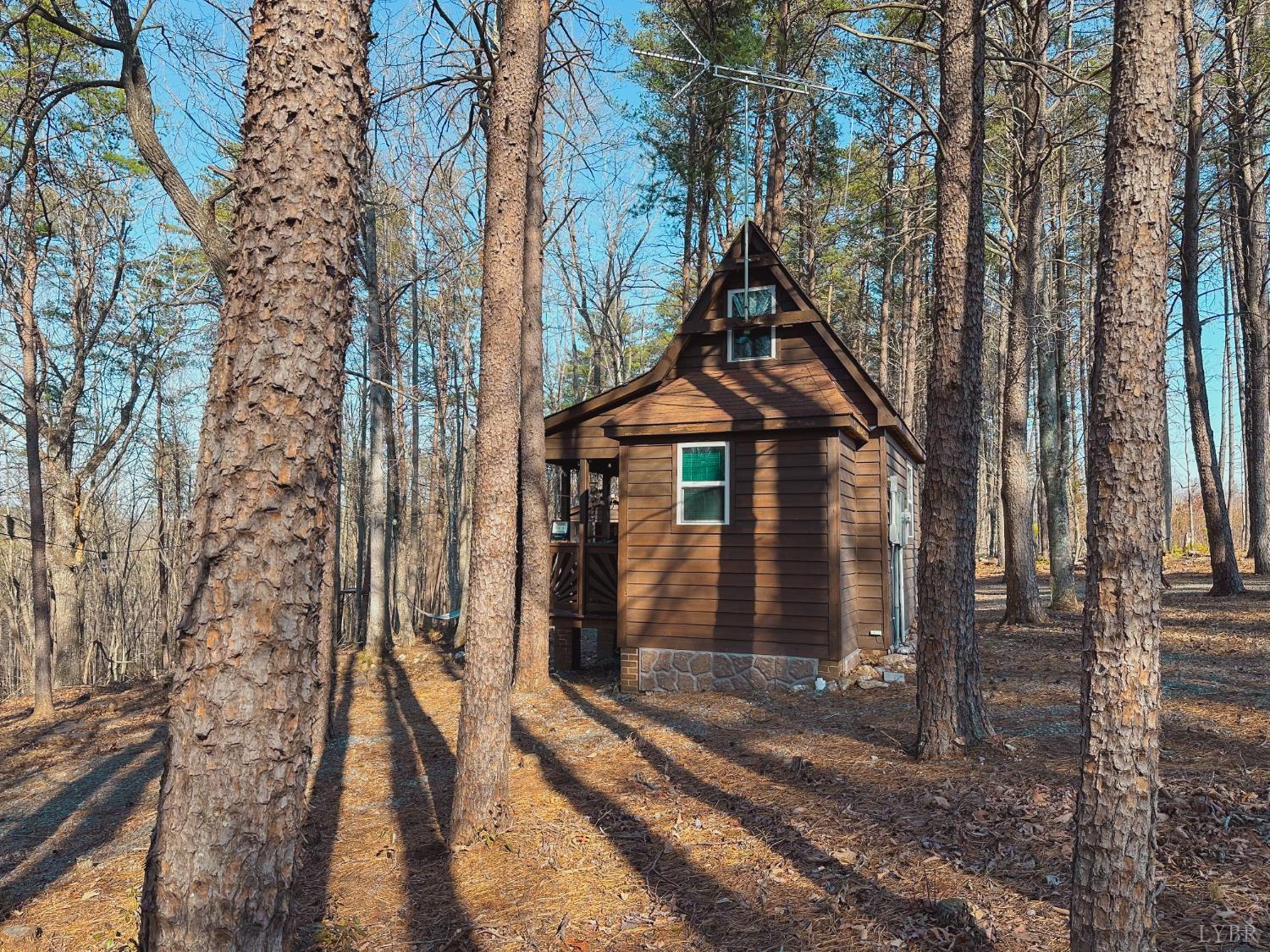 507 Faith Cove Road Sandy Level, VA 24161 - Photo 10 of 64