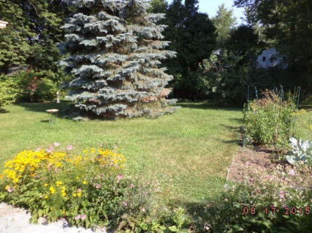 3018 Olney Road Kalamazoo, MI 49006 - Photo 14 of 15 unnamed (11)