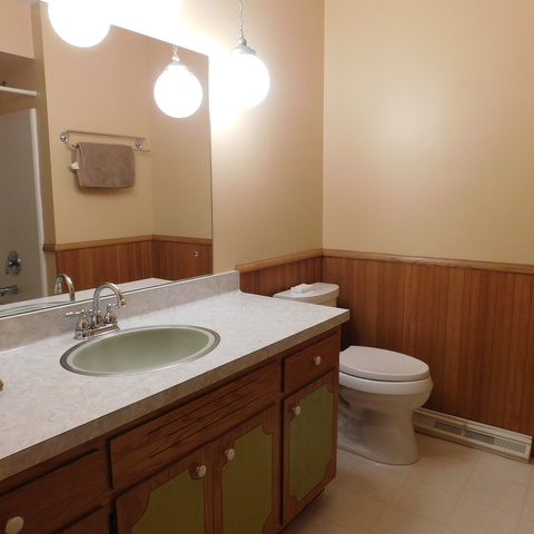 10471 Lee Road Waterman, IL 60556 - Photo 13 of 20 a bathroom with a sink and a toilet
