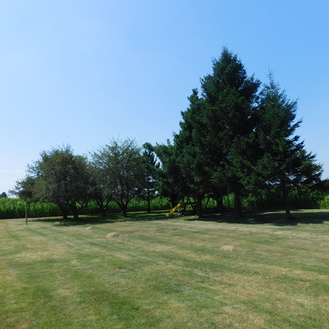 10471 Lee Road Waterman, IL 60556 - Photo 20 of 20 a view of outdoor space with deck and yard
