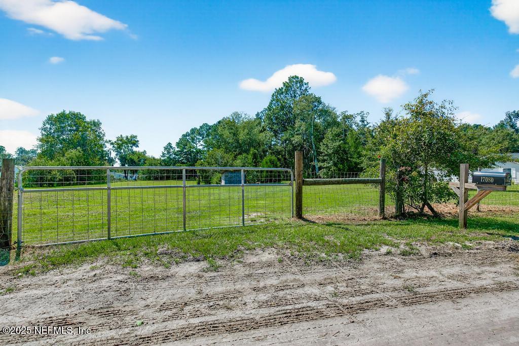 17080 Mcintosh Road Hilliard, FL 32046 - Photo 3 of 52 a view of a park with a tree