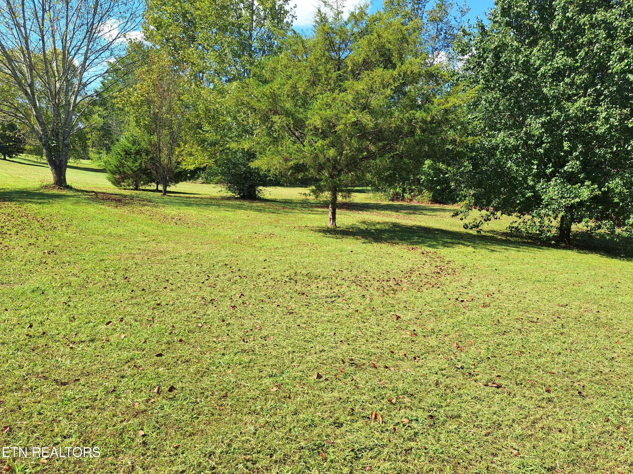 260 Tilley Road Madisonville, TN 37354 - Photo 8 of 58 Gallery Image 8