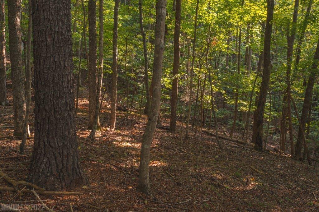 Tbd North Fork Road Elliston, VA 24087 - Photo 10 of 26 Gallery Image 10