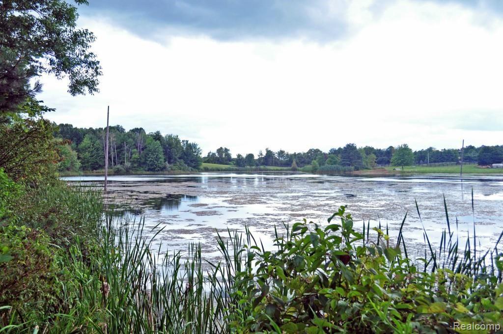 4526 Casey Road Dryden, MI 48428 - Photo 46 of 50 15704154572_b4ff99f48c_o.jpg