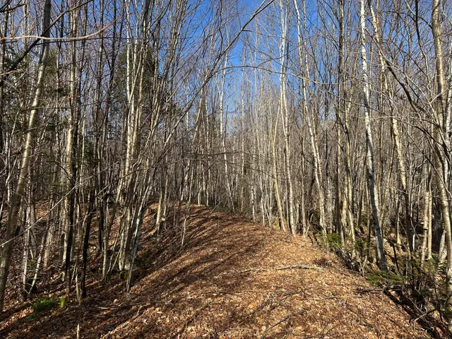 $340,000 | 0 Aroostook Scenic Highway, Smyrna Mills, ME 04780