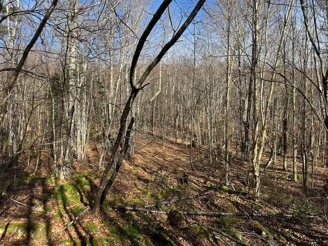 $340,000 | 0 Aroostook Scenic Highway, Smyrna Mills, ME 04780