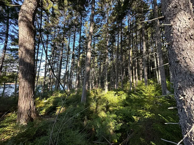 $340,000 | 0 Aroostook Scenic Highway, Smyrna Mills, ME 04780