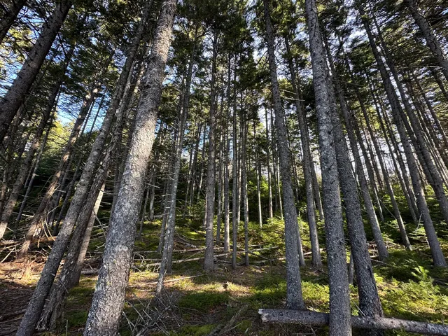 $340,000 | 0 Aroostook Scenic Highway, Smyrna Mills, ME 04780