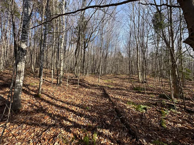 $340,000 | 0 Aroostook Scenic Highway, Smyrna Mills, ME 04780