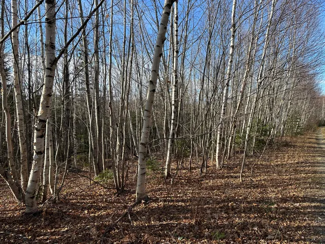 $340,000 | 0 Aroostook Scenic Highway, Smyrna Mills, ME 04780