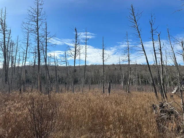 $340,000 | 0 Aroostook Scenic Highway, Smyrna Mills, ME 04780