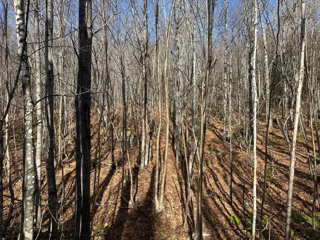 $340,000 | 0 Aroostook Scenic Highway, Smyrna Mills, ME 04780