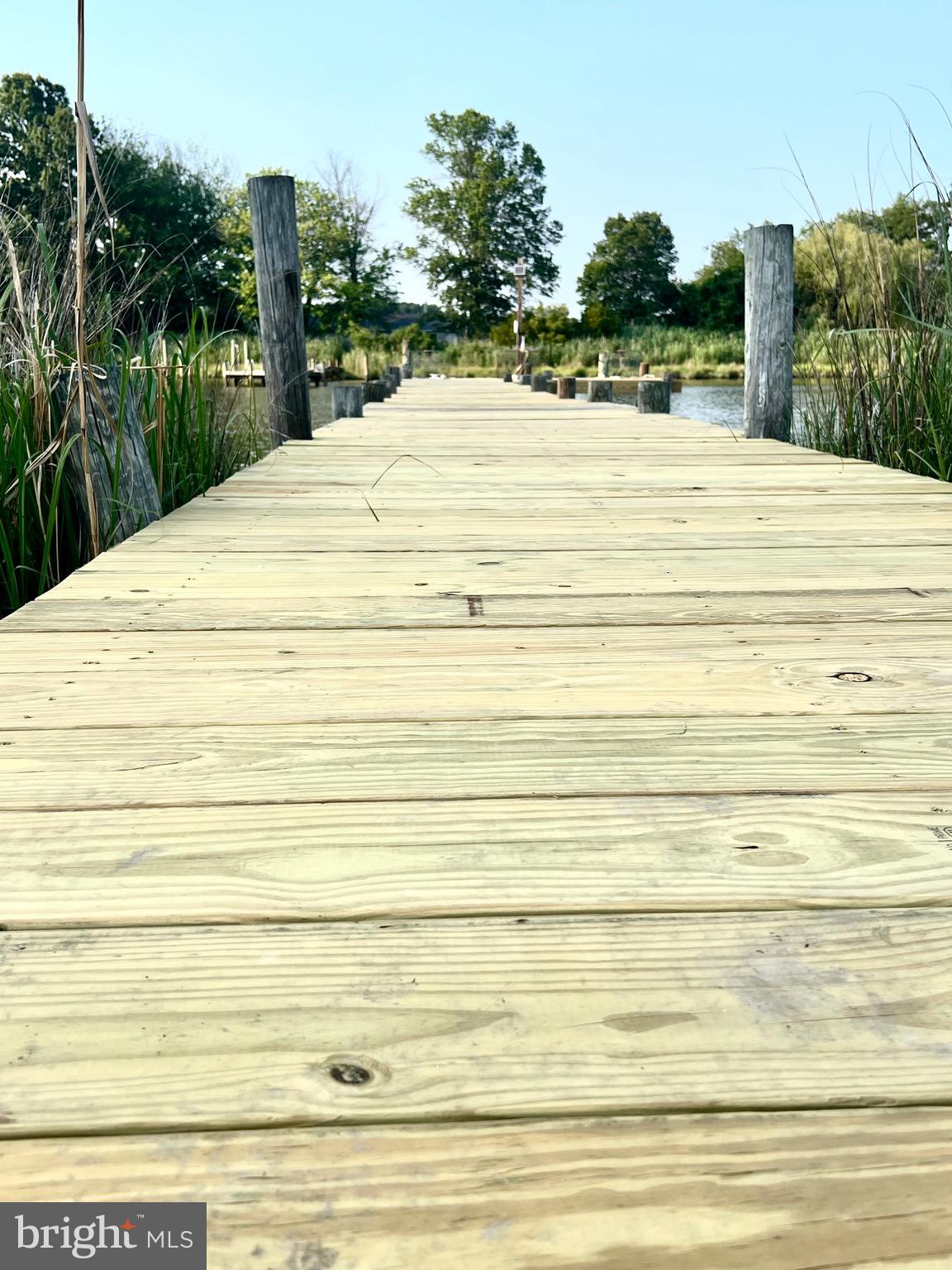 37420 River Springs Road Avenue, MD 20609 - Photo 42 of 67