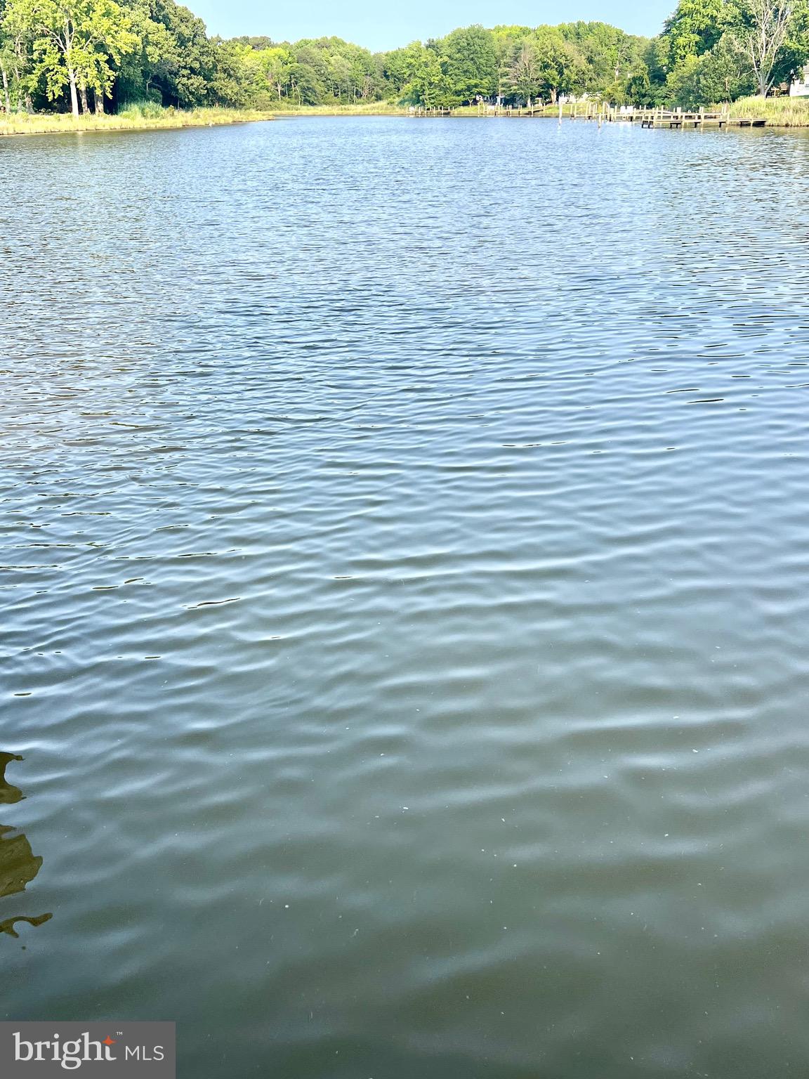 37420 River Springs Road Avenue, MD 20609 - Photo 44 of 67 Down the creek