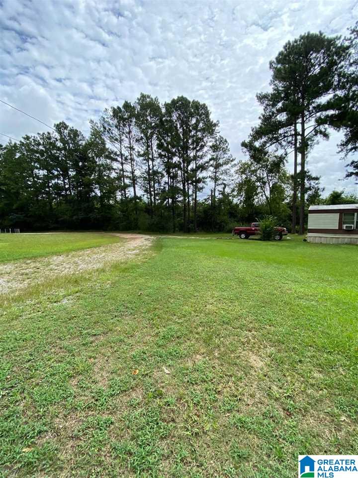 205 Flag Pole Mountain Road Sylacauga, AL 35151 - Photo 4 of 13