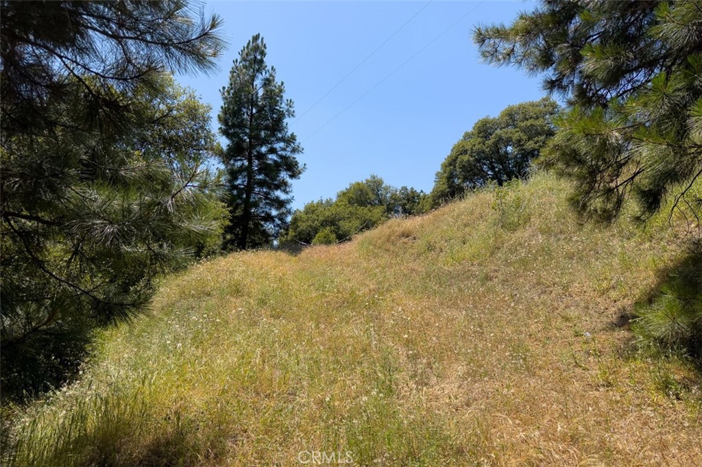 2397 Parmabelle Road Mariposa, CA 95338 - Photo 17 of 34