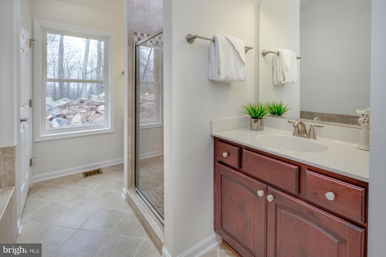 2614 Lookout Road Haymarket, VA 20169 - Photo 23 of 28 Bath (Master)
