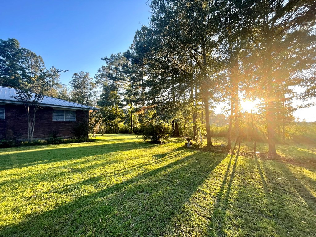 615 Freeman Road Southwest Summit, MS 39666 - Photo 6 of 34 Photo 6