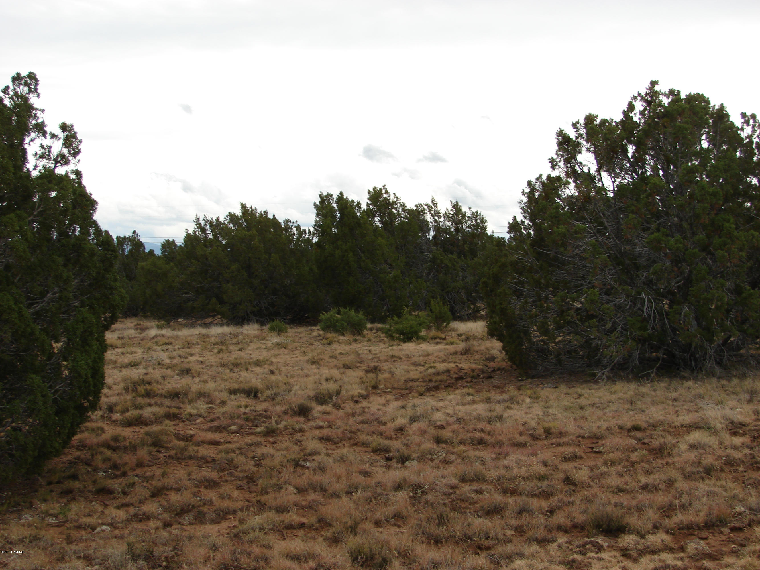 8109 County Road Concho, AZ 85924 - Photo 12 of 15 a view of a yard