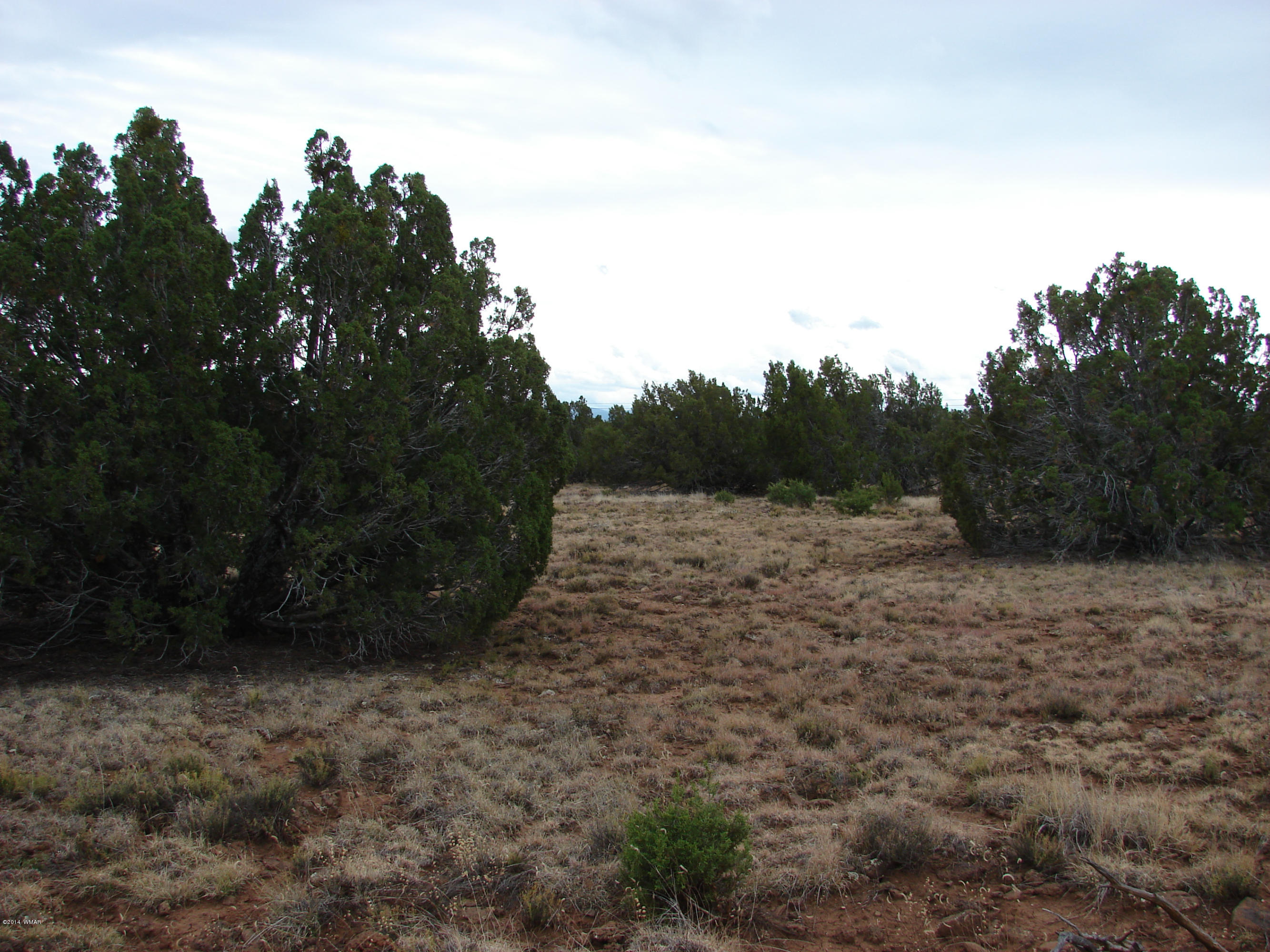 8109 County Road Concho, AZ 85924 - Photo 13 of 15 a view of a yard