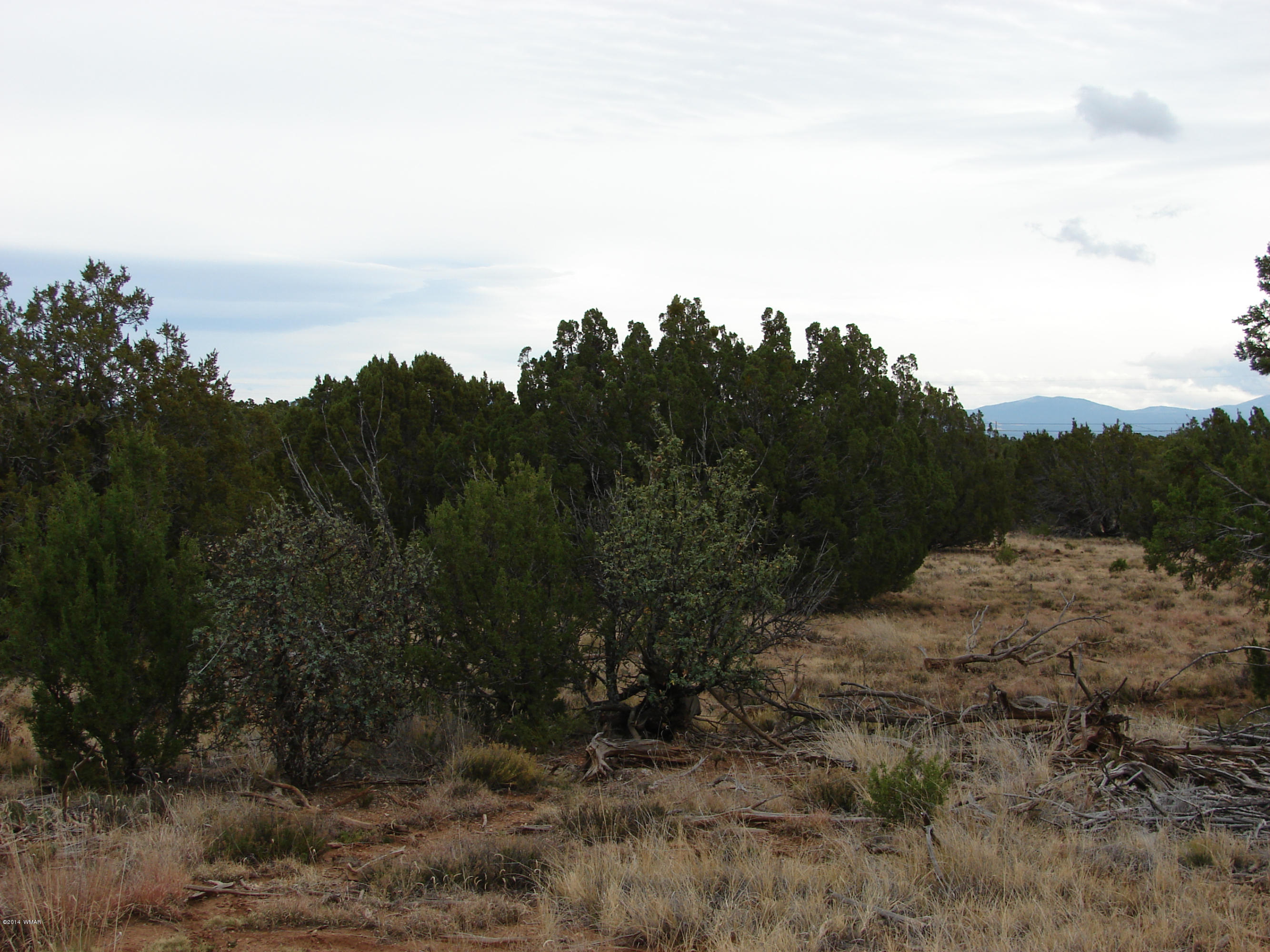 8109 County Road Concho, AZ 85924 - Photo 14 of 15 a view of a yard