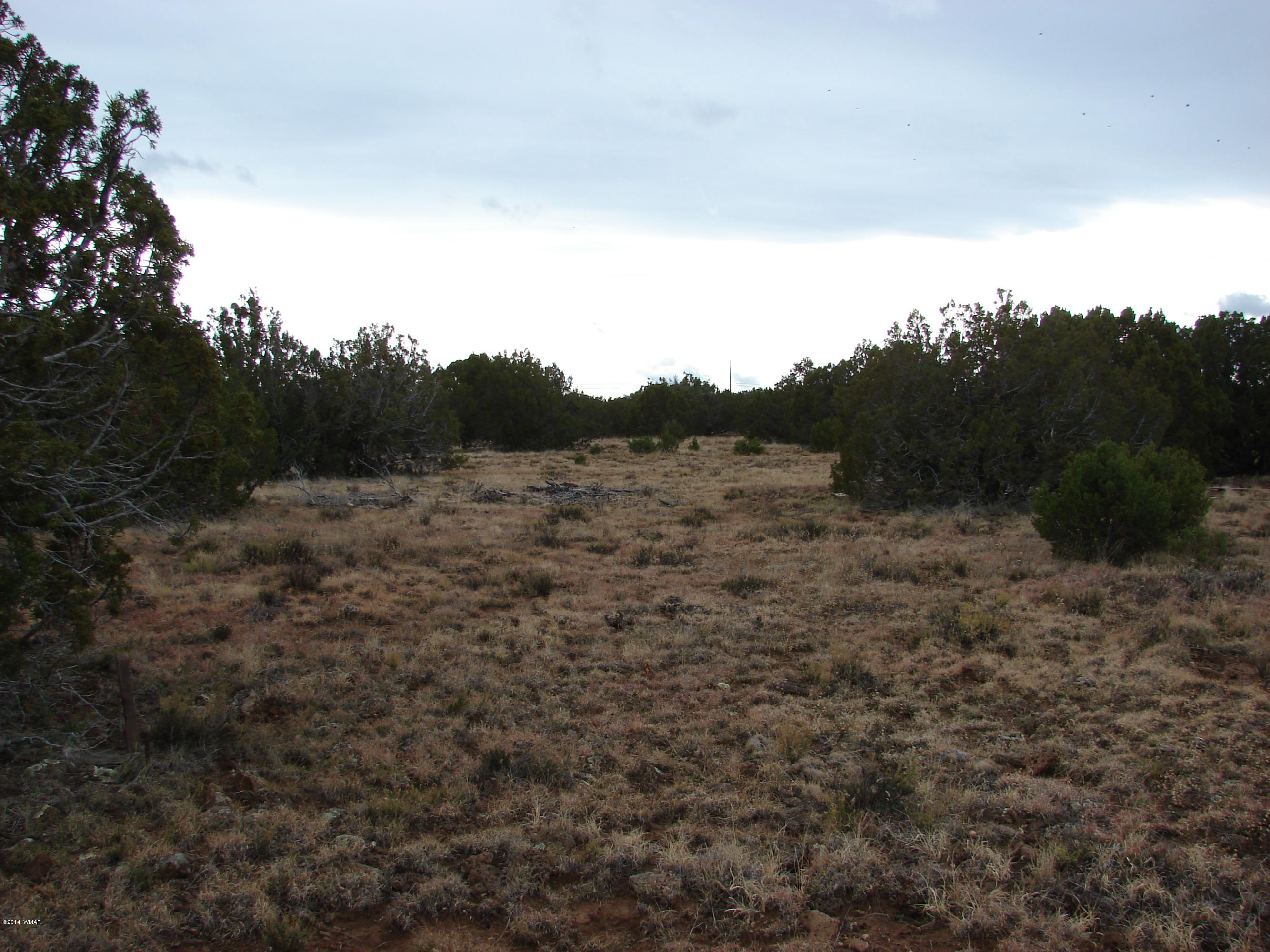 8109 County Road Concho, AZ 85924 - Photo 4 of 15 a view of a mountain in the distance in a field
