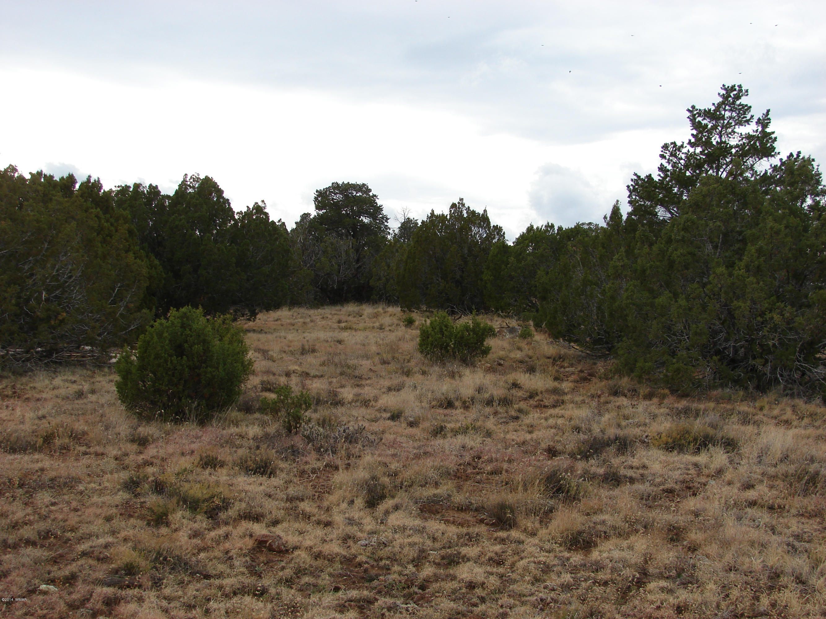 8109 County Road Concho, AZ 85924 - Photo 5 of 15 a view of a outdoor space
