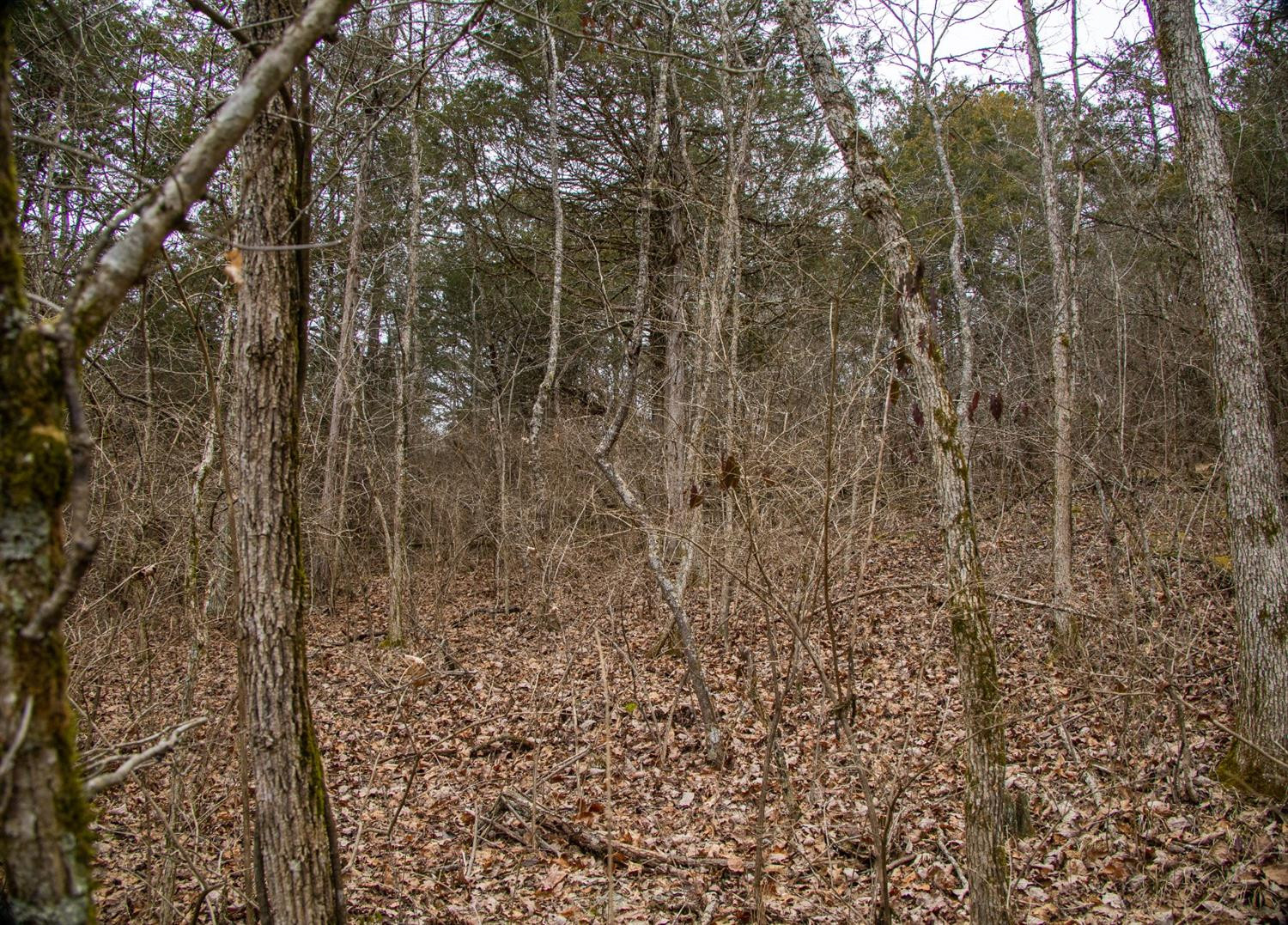 1298 River Road Nicholasville, KY 40356 - Photo 5 of 7 Photo 5