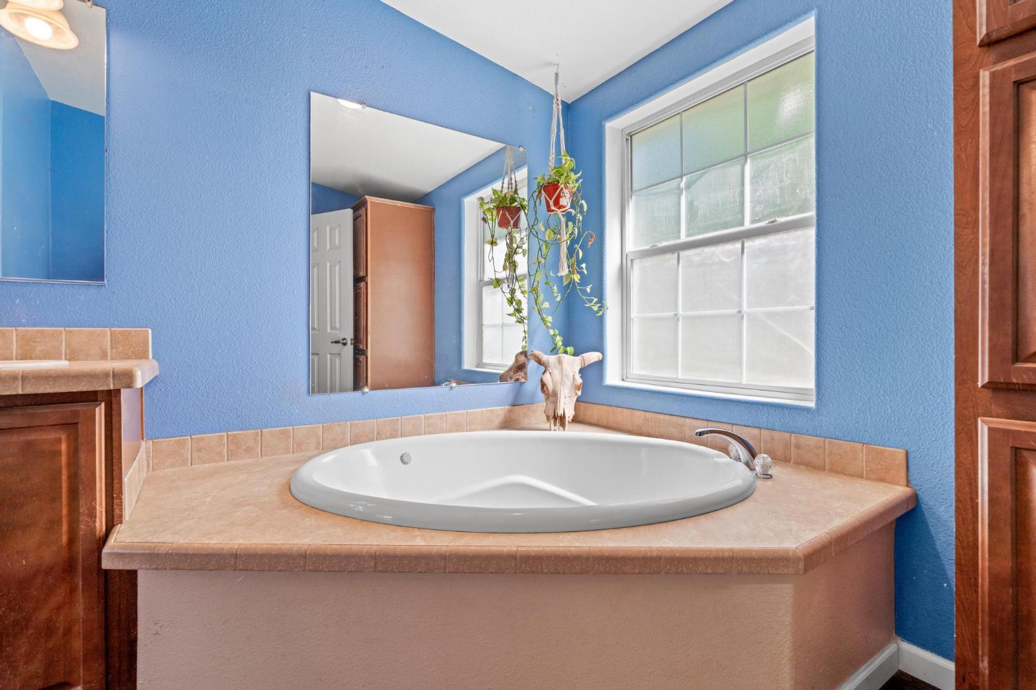 12518 Lone Oak Road Waterford, CA 95386 - Photo 22 of 50 a bathroom with a sink and a bathtub