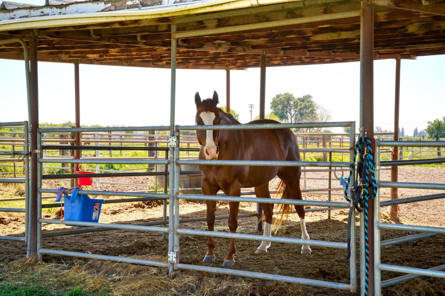 12518 Lone Oak Road Waterford, CA 95386 - Photo 39 of 50 a view of sitting area