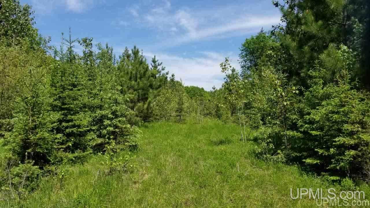 Tbd North Angeli Road, Unit 15 Iron River, MI 49935 - Photo 5 of 15