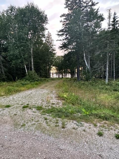 234 Estates Road Steuben, ME 04680 - Photo 5 of 10 IMG_7972