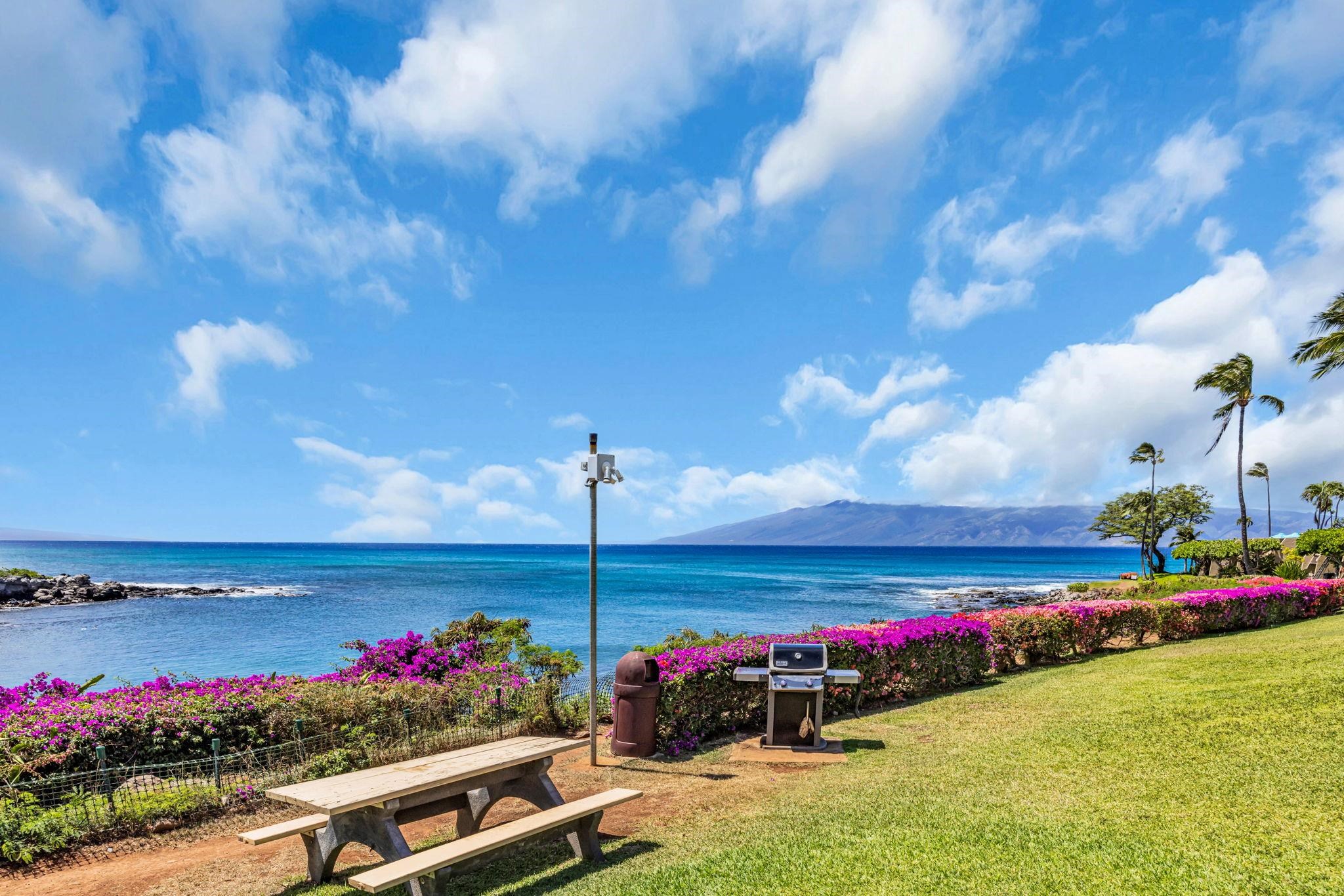 5295 Lower Honoapiilani Road, Unit B35 Lahaina, HI 96761 - Photo 26 of 38