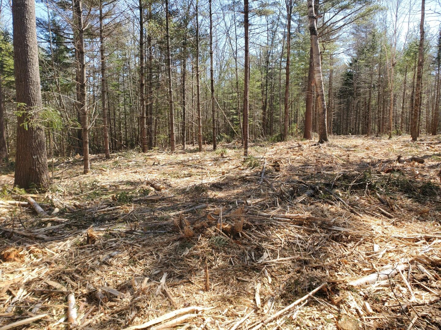 194 A Crowley Road Lincolnville, ME 04849 - Photo 6 of 9 20210403_123338 (Large)