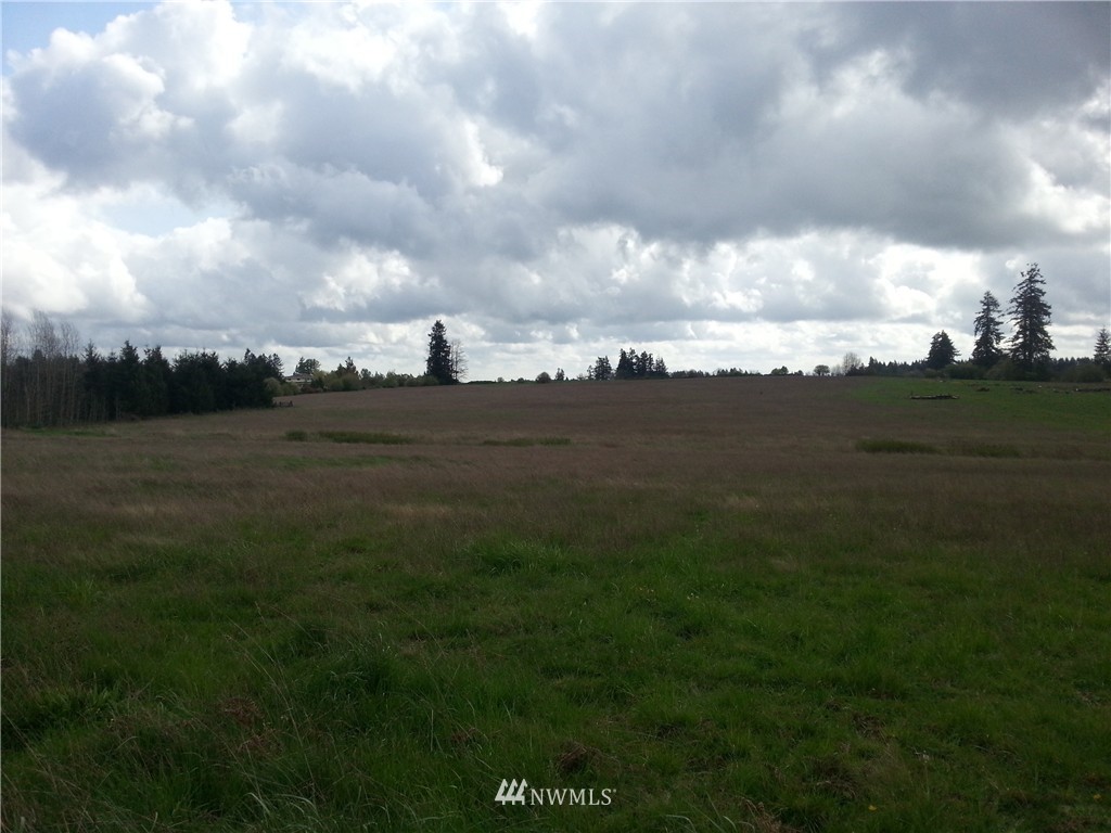 -tbd Harkins Road Winlock, WA 98596 - Photo 2 of 4