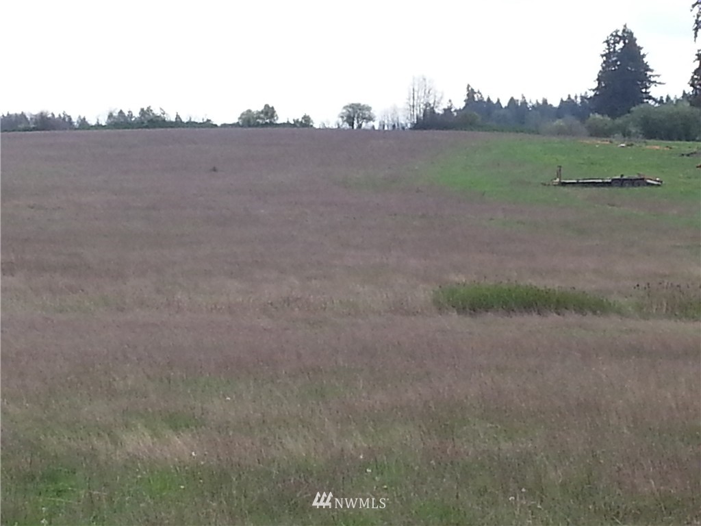 -tbd Harkins Road Winlock, WA 98596 - Photo 3 of 4