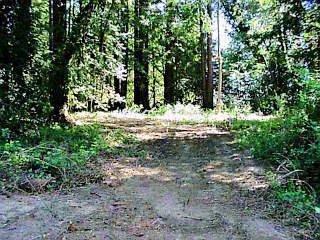 13422 Occidental Road Sebastopol, CA 95472 - Photo 1 of 1