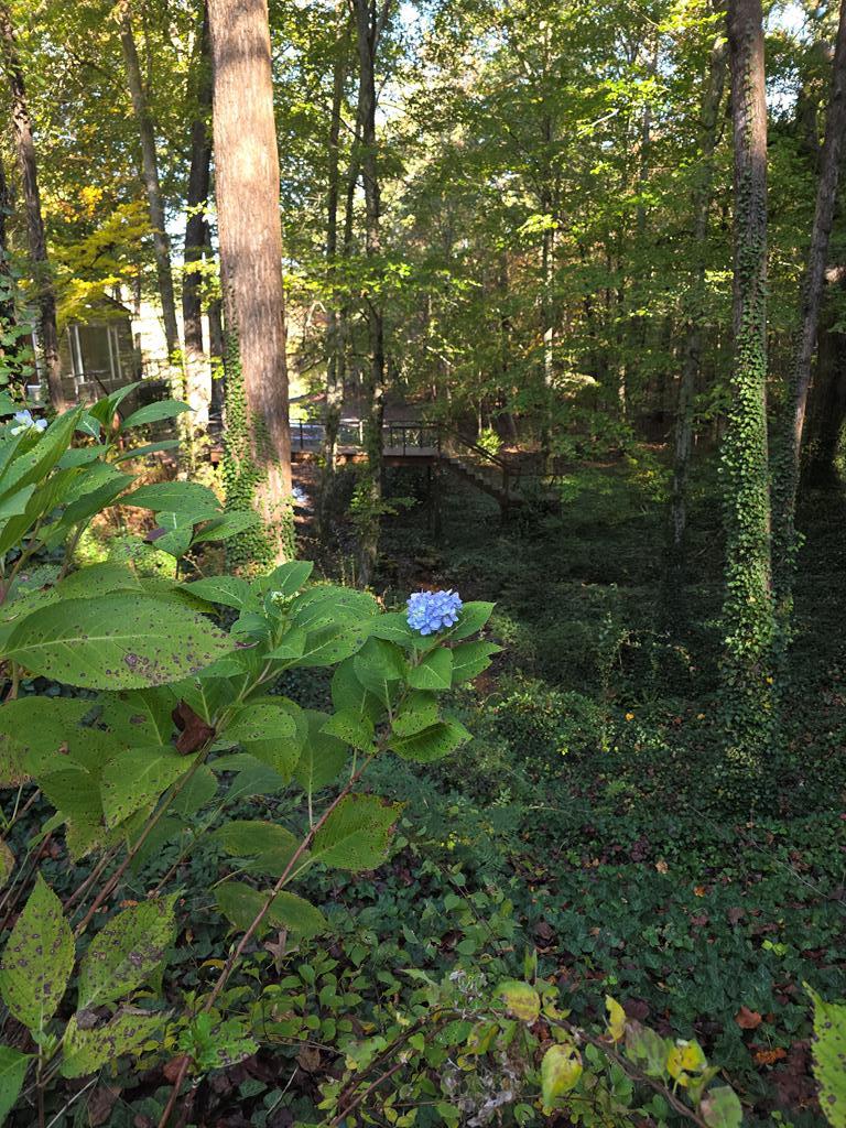5656 Hamilton Road Pine Mountain, GA 31822 - Photo 72 of 86 Gallery Image 72