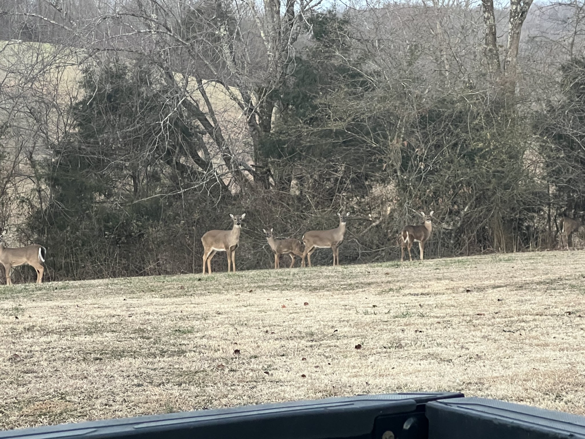 990 East Piney Road Dickson, TN 37055 - Photo 6 of 9