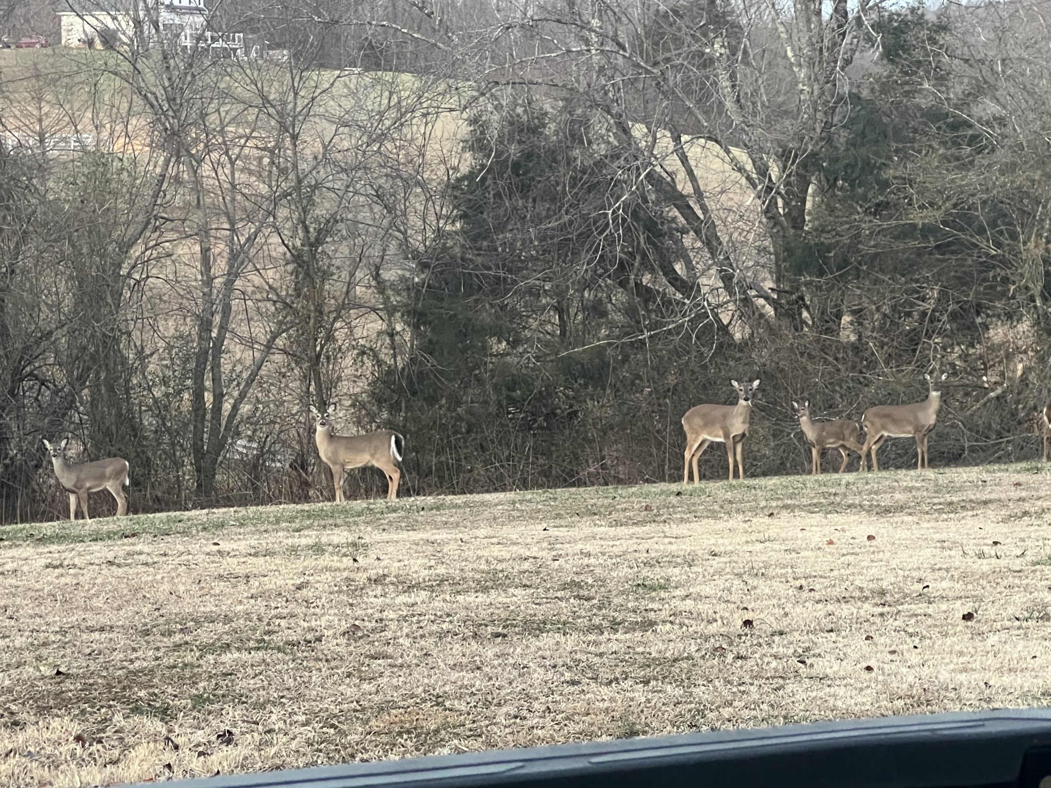 990 East Piney Road Dickson, TN 37055 - Photo 7 of 9